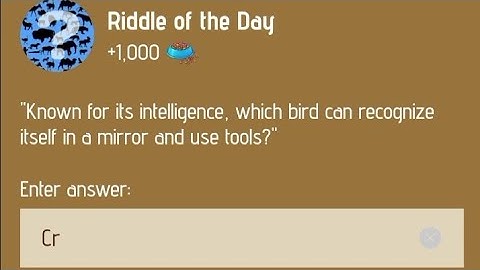 4 January Zoo Riddle of the day code | Riddle of the day code | #zooriddlecode | #khpalwakurmar