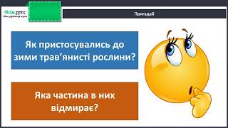 картинка: Як почуваються рослини взимку