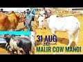 Ajj Garmi Buhot Thi Malir Cow Mandi Mei !! Latest Updated 31 August 2021| cattle market karachi