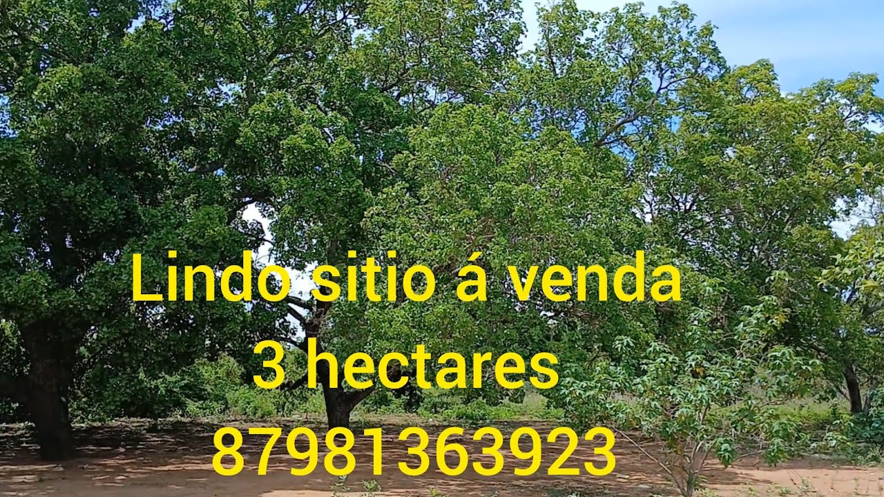 Com dua casas e reservatorio,  parcelo, e no dinheiro tem um desconto. 87981363923.  Valor 60 mil