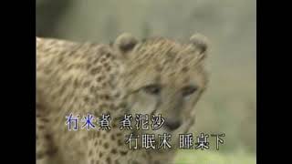 伯公下十八家-KTV0217