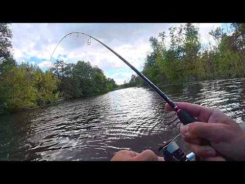 THIS IS INSANE, A DREAM FISHING TRIP. FISH HITTING ON EVERY CAST. Autumn spin fishing