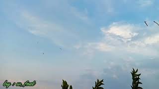 Download lagu Destinasi Layang-layang Besar (layangan manuk) Desa Loram Kulon #YaSudahlah(bondan prakoso)
