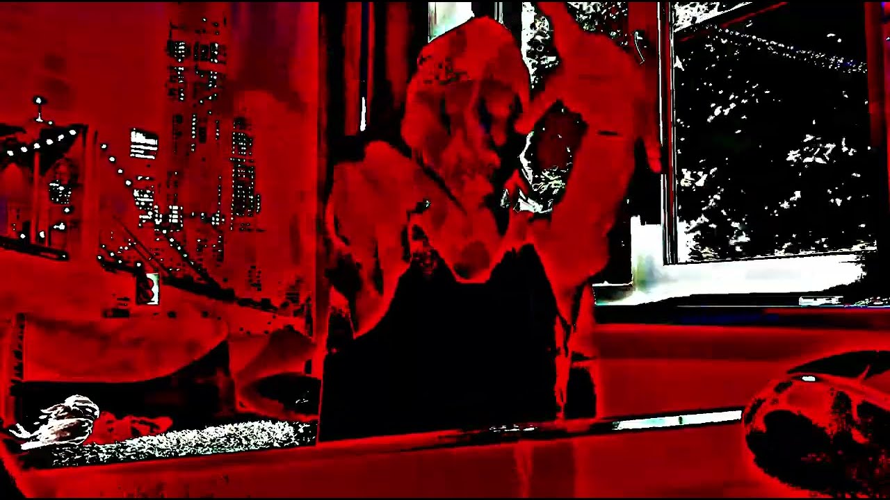 JDFLAG - PAYPAL (склейка)