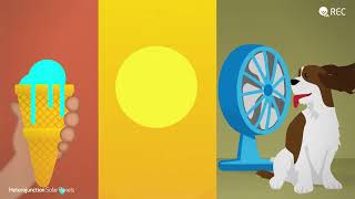 Beat The Heat In Sa With Rec Solar