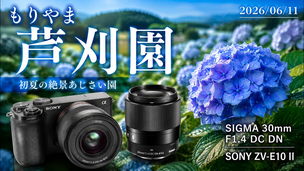 SIGMA 30mm F1.4 DC DN | SONY ZV-E10 II「もりやま芦刈園」2026/06/11