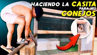 Haciendo  la casita para mis conejos | EL POLI POLI