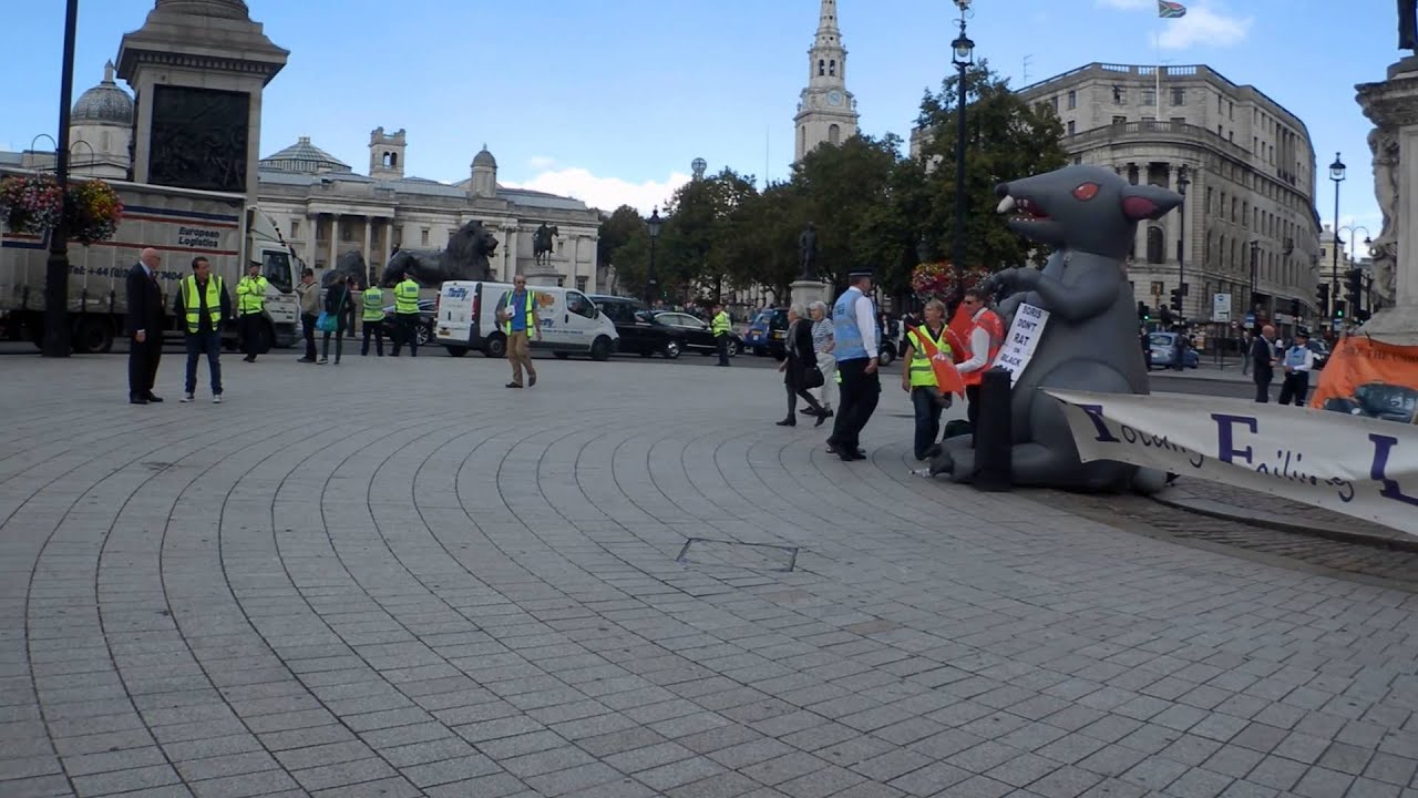 Met Police - Hyundai i30 IRV - RESPONDNG