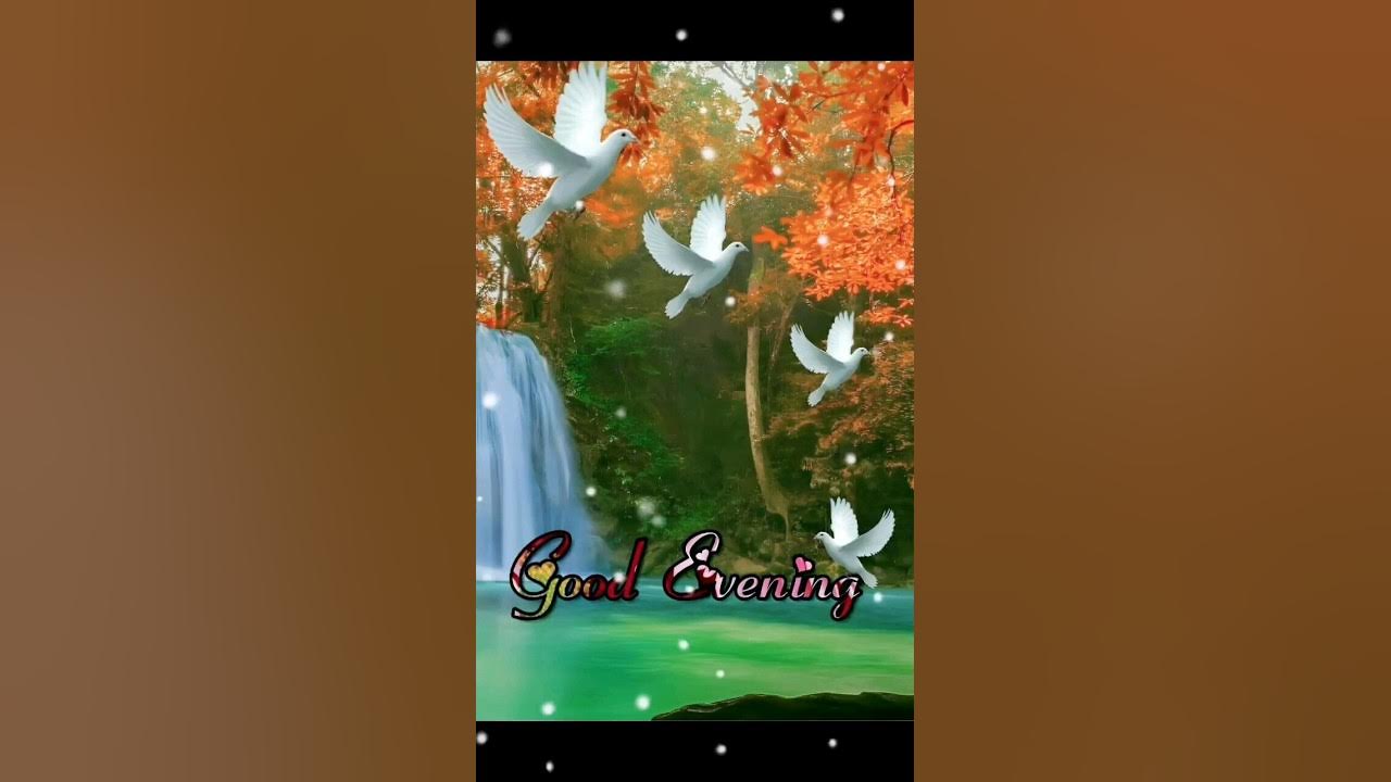 GOOD EVENING video GOOD EVENING video