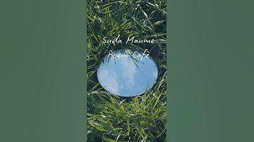 The light of the memory: Dreamy Poetry Shorts 🍋