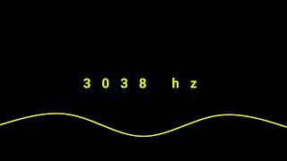 3038 hz