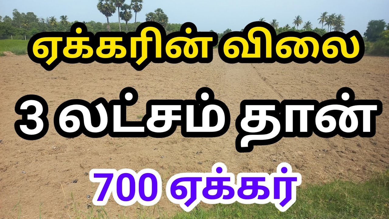 மிக மிக குறைந்த விலையில் விவசாய நிலம் விற்பனை🚜🪴700 Acre #farming #lowprice #realestate#trending#agri