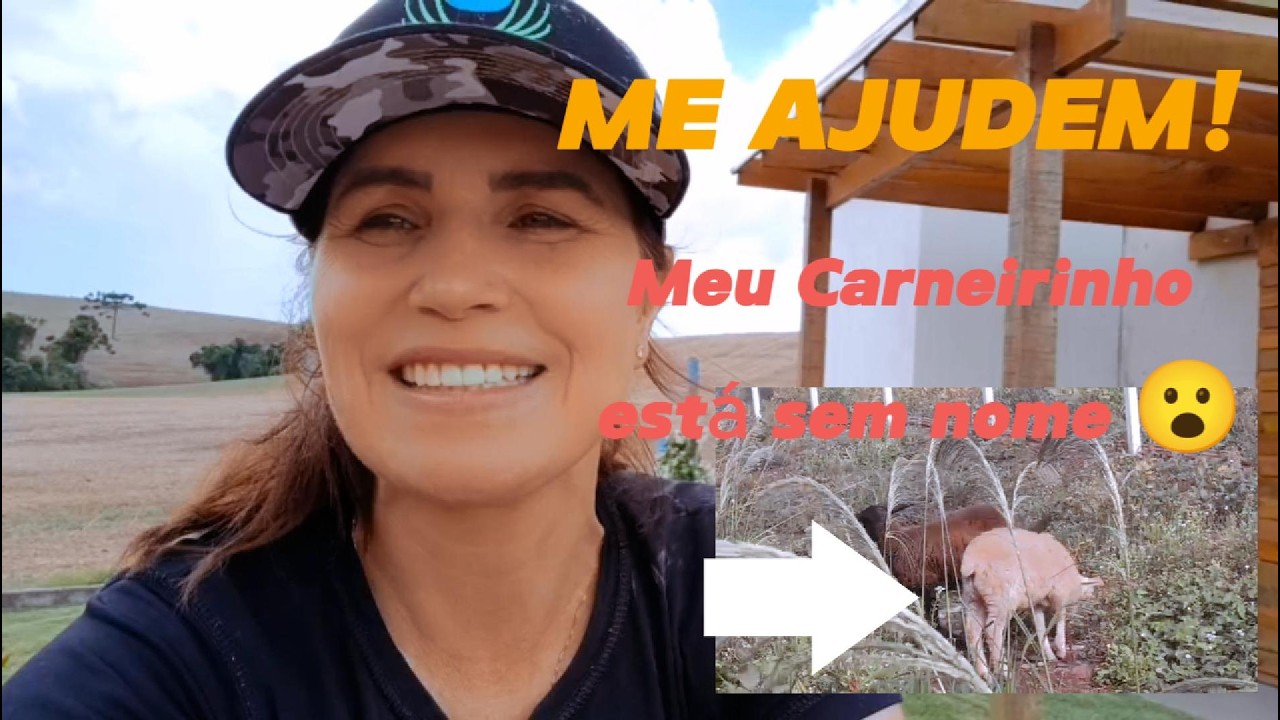 Ele Ainda Não Tem Nome 🐑💛 | Me Ajudem a Escolher! + Me ajudem a escolher🙏
