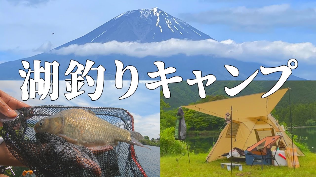 釣りができるキャンプ場の静岡県田貫湖！魚は良型連発！景色は最高！至高の遊びで休日旅行【へらぶな釣り】
