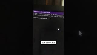 "Cruel Pirate &amp; Parrot Live in CMD 🦜💻 | Insane Terminal Hack!"