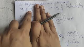 Synthetic uses of ethylacetoacetate