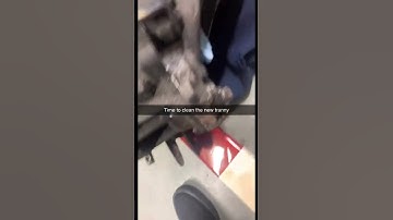 New tranny for the silver bullet #civic #boost #jdm#fyp #fypシ #viral #civic #trending