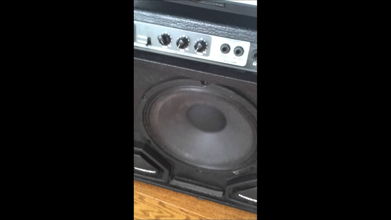 Custom Bass Speaker Flexing