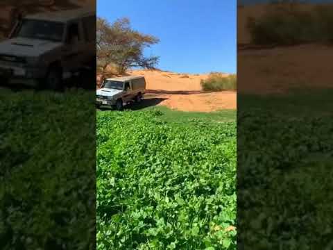 لاتشكي احوالك يابوقلب حزين للمبدع محمد المقحم