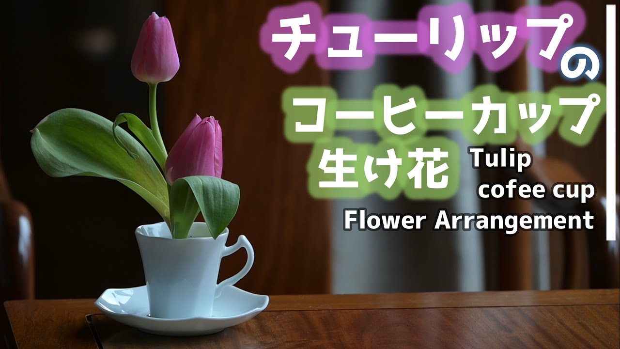 チューリップのコーヒーカップ生け花 剣山の基本もちょっと説明 Tulip Coffee Cup Flower Arrangement Basic Use Of Kenzan Pin Frog Youtube