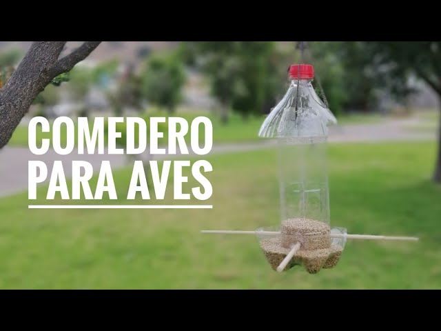 Comedero para aves de botellas - YouTube