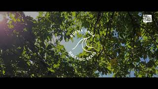 Black Spuma - Failure Day