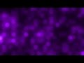 Purple bokeh  background loop