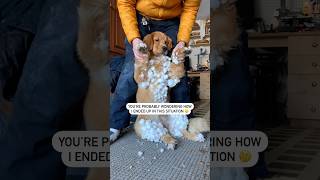 The Happiest Day Of Pachas Life 