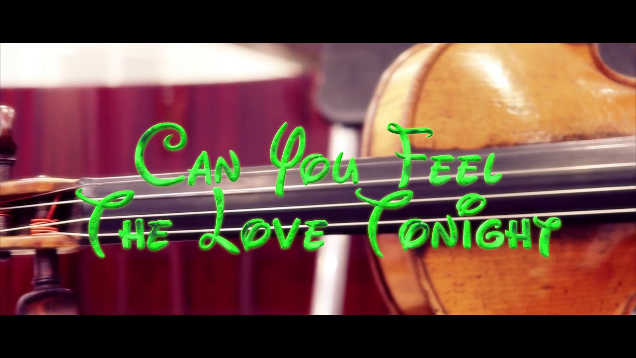 The Lion King - Can You Feel the love tonight (2019) Violin Cover - YouTube