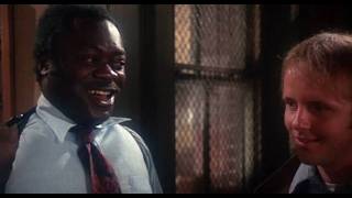 FILM OF THE YEAR: REPORT TO THE COMMISSIONER (1975)