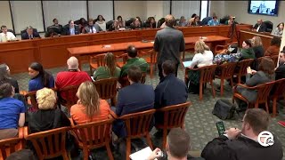 In wake of Tennessee school shooting, where Michigan gun legislation stands today