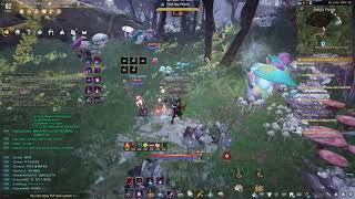 BDO auto grinding bot in Polly's forest