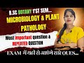 B.Sc. 1rst Semester Botany Most Important Questions || BSc 1rst Semester important Question ||