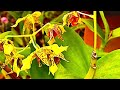 Botanischer Garten in Funchal…