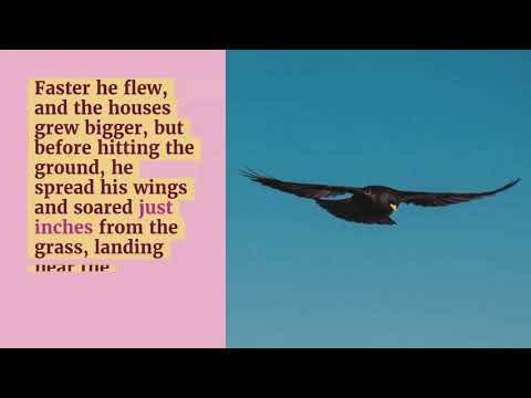 Elissa The Curious Snail Through The Eyes Of Jake The Blackbird