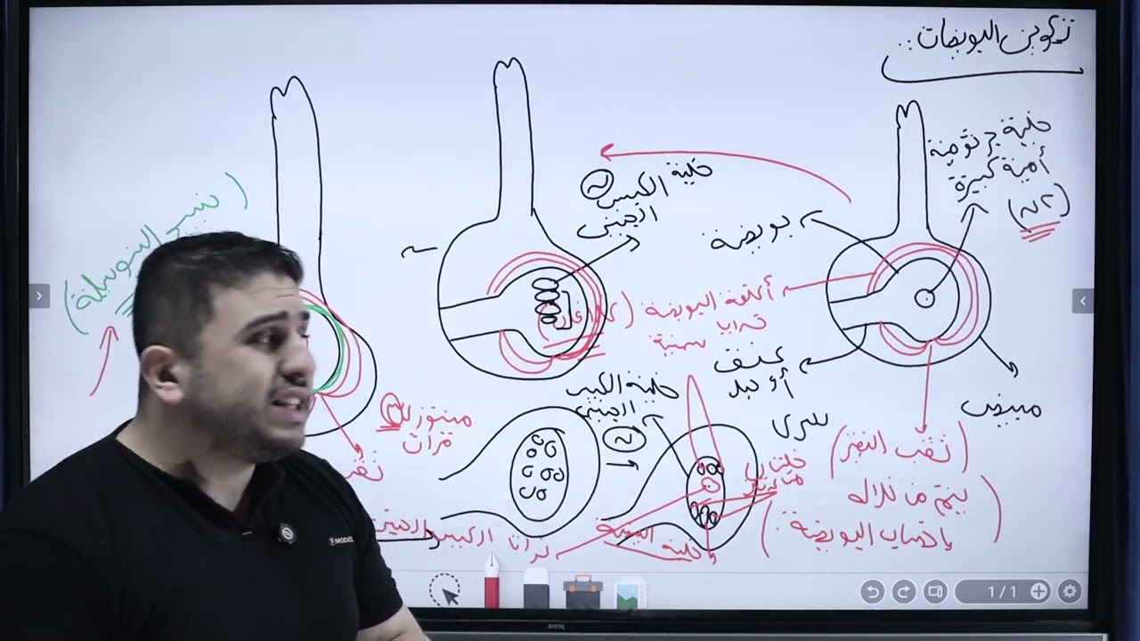 تعديلات التكاثر واهم النقاط علي الفصل الجزء الثالث