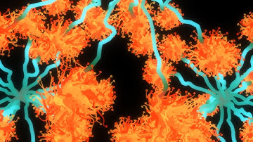 well Rounded Synapses (4K Generative Production)