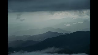 Relaxing Sound Of Rain and Thunder for insomnia and sleeping, studying, Meditation | ASMR