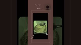 صلو على النبي #reels #editing #explorepage #funny #foryoupage #freefire #shorts #art #reels #viral