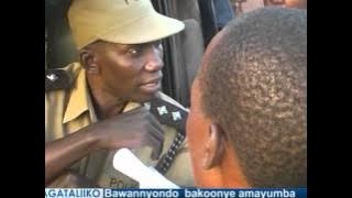 story 1 kumenyaaaa.mpg