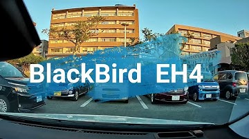 Blackbird cover song by EH4