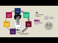 Whole systems approach to obesity