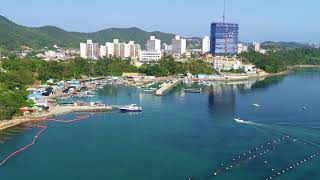 그리다리조트 영상
