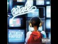 Wale - Ice and Rain