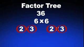 Prime Factors.m4v