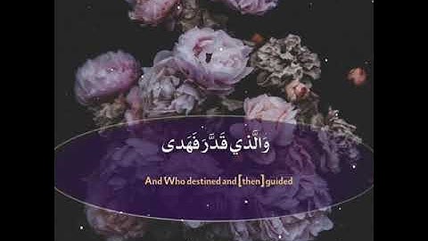 سورة الأعلى -ياسر الدوسري /حالات واتس اب إسلامية