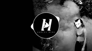 halcyon \u0026 harley bird - where have you been?