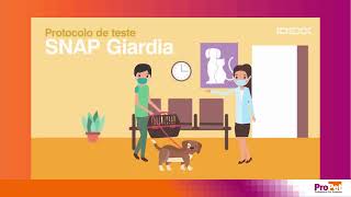 Protocolo de Teste IDEXX SNAP Giardia - Propet