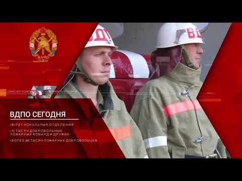 ролик ВДПО