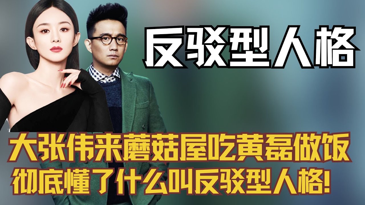 大张伟来趟蘑菇屋吃黄磊做的饭，彻底懂了什么叫反驳型人格！